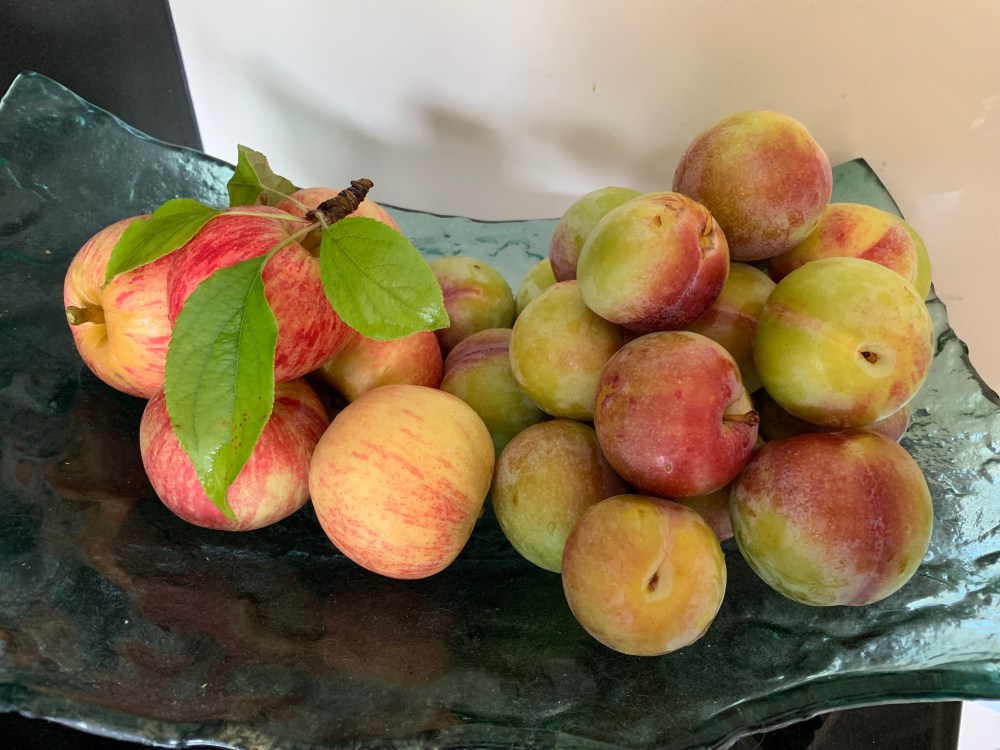 8. In the Fruit Bowl